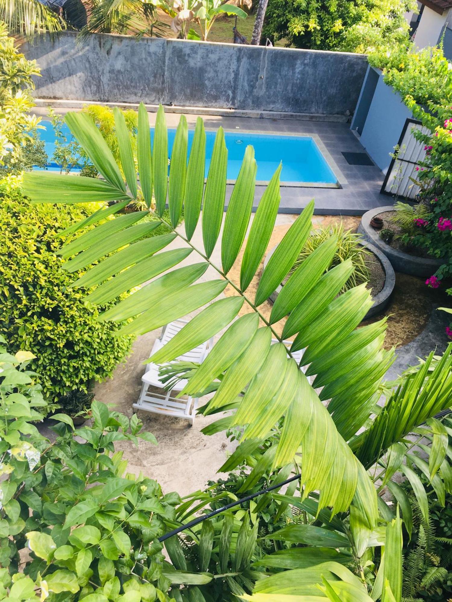 Om Villa Hikkaduwa Extérieur photo